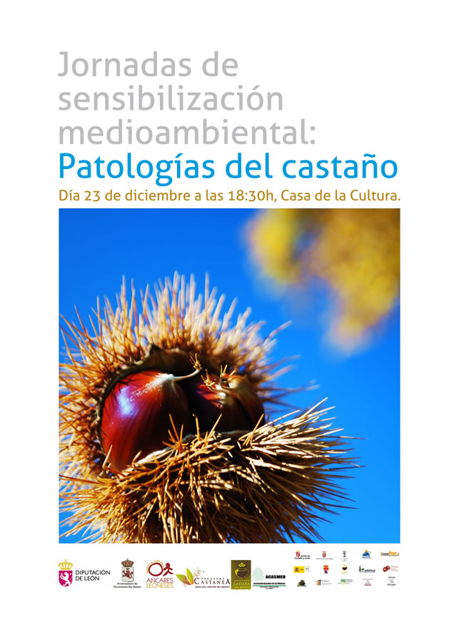 Foto de Jornadas de sensibilización medioambiental: Patologías del Castaño