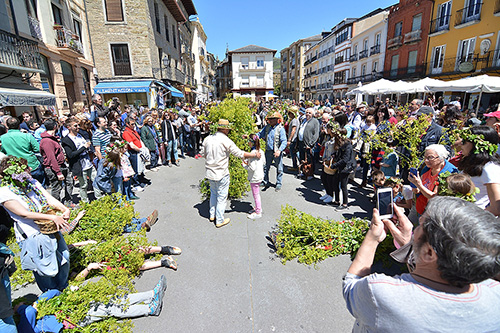 Foto de Villafranca del Bierzo levanta ‘Os Maios’ siguiendo la tradición