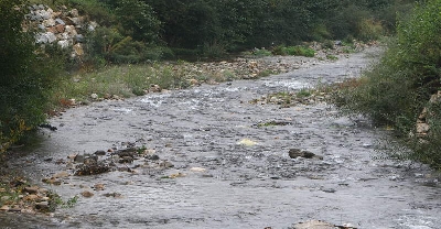 Foto de El Gobierno declara Reserva Natural Fluvial a cuatro tramos de ríos de León