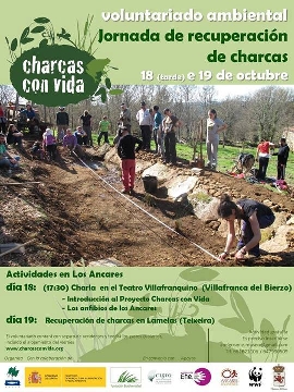 Foto de Jornada de recuperación de charcas.