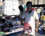 Foto de Villafranca acogió la Feria de Santiago