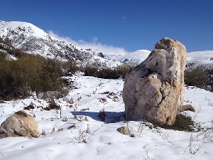 Foto de Piden protección y una investigación profunda para un menhir descubierto en la zona de Tejeira