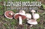V Jornadas Micológicas en Villafranca del Bierzo.