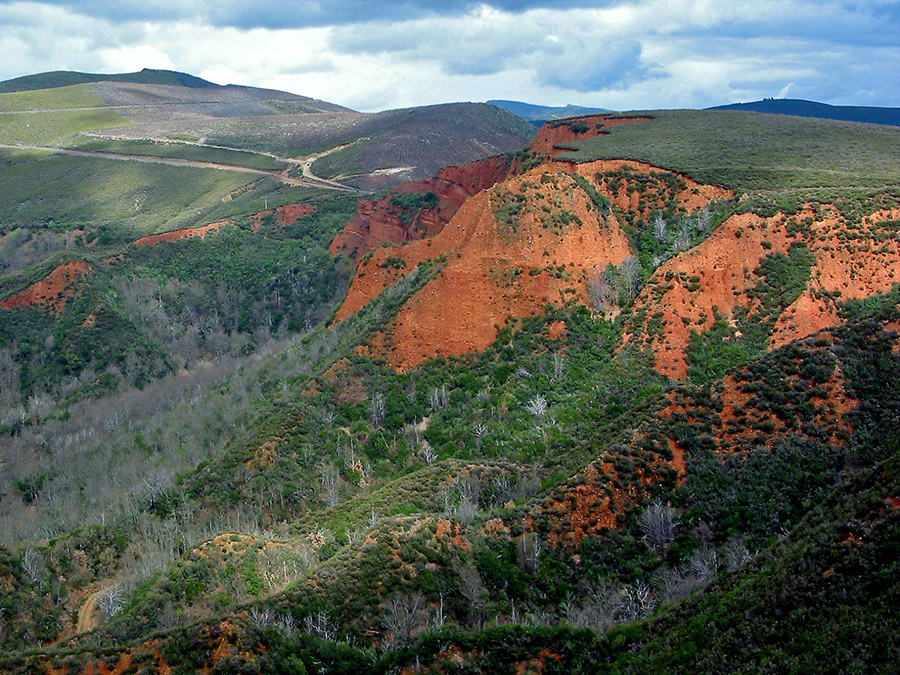 La Leitosa